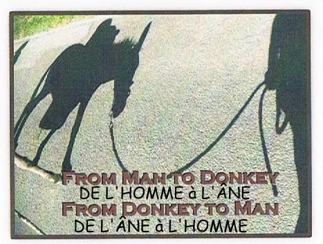 homme-a-ane-ang-f