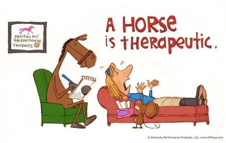 thérapie avec le cheval